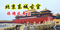 极品麻酥酥白丝自慰在线中国北京-东城古宫旅游风景区